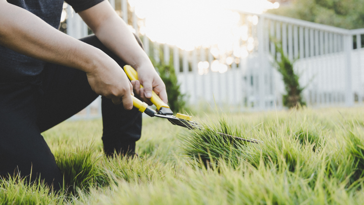 Grass Trimmer